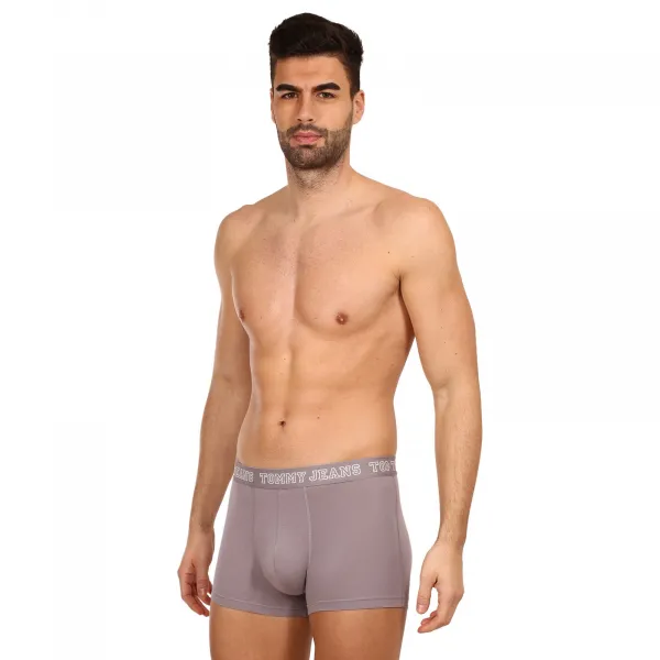 3PACK pánske boxerky Tommy Hilfiger viacfarebné (UM0UM02850 0T9) L, trenky