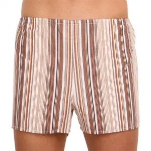 3PACK Klasické pánske trenky Foltýn hnedé s prúžkami (3xK53) M, trenírky