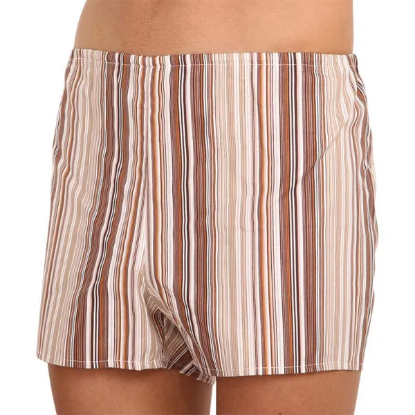 3PACK Klasické pánske trenky Foltýn hnedé s prúžkami (3xK53) M, trenírky