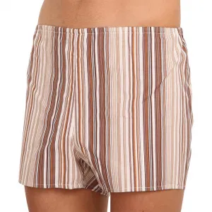 3PACK Klasické pánske trenky Foltýn hnedé s prúžkami (3xK53) M, trenírky