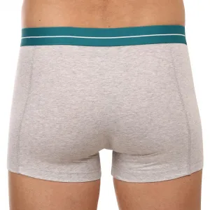 2PACK pánske boxerky Puma viacfarebné (701221415 004) S, trenky