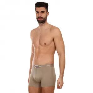2PACK pánske boxerky Puma viacfarebné (701221415 002) M, trenky
