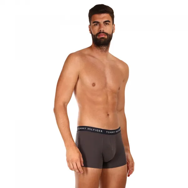 3PACK pánske boxerky Tommy Hilfiger viacfarebné (UM0UM02203 0XX) M, trenky
