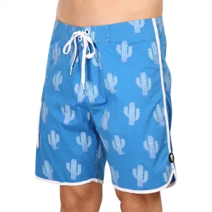 Pánske plavky 69SLAM desert scene blue theo (SCSDSB-BL) M