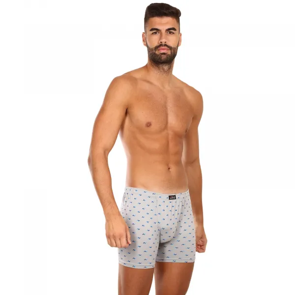 Pánske boxerky Gino sivé (74146) M, trenky