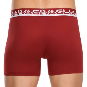 5PACK pánske boxerky Gianvaglia viacfarebné (GVG-5011) L, trenky