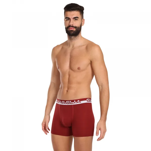 5PACK pánske boxerky Gianvaglia viacfarebné (GVG-5011) L, trenky