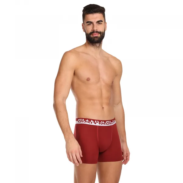 5PACK pánske boxerky Gianvaglia viacfarebné (GVG-5011) L, trenky