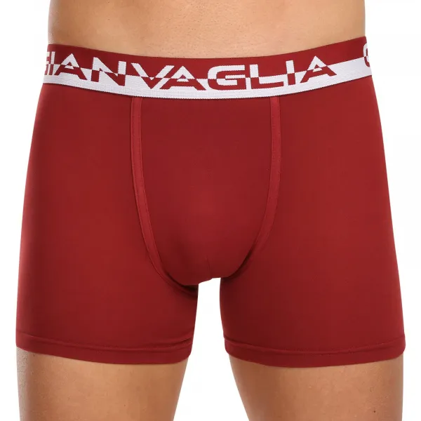5PACK pánske boxerky Gianvaglia viacfarebné (GVG-5011) L, trenky