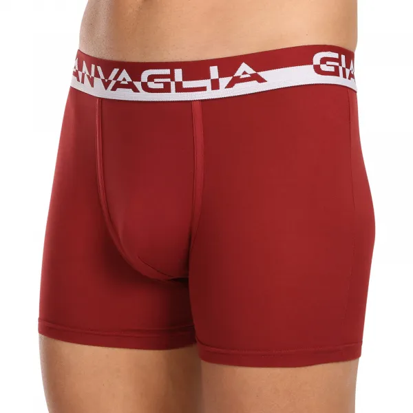 5PACK pánske boxerky Gianvaglia viacfarebné (GVG-5011) L, trenky