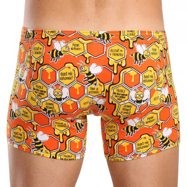 Pánske boxerky Styx long art klasická guma včielky (F1654) M, trenky