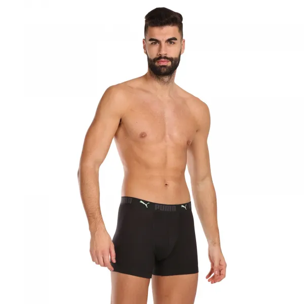 2PACK pánske boxerky Puma viacfarebné (701210962 008) L, trenky