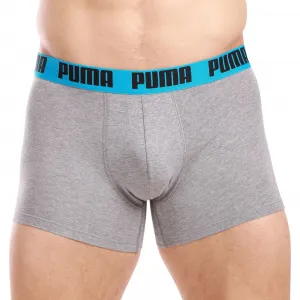 2PACK pánske boxerky Puma viacfarebné (701226387 019) L, trenky
