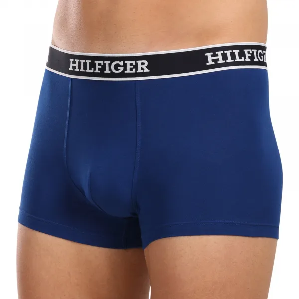 3PACK pánske boxerky Tommy Hilfiger viacfarebné (UM0UM03185 0YZ) M, trenky