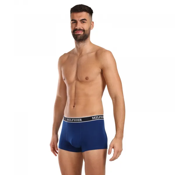 3PACK pánske boxerky Tommy Hilfiger viacfarebné (UM0UM03185 0YZ) M, trenky
