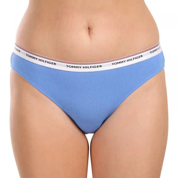3PACK dámske nohavičky Tommy Hilfiger viacfarebné (UW0UW04895 0WR) M