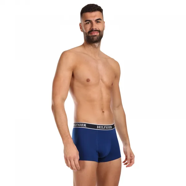 3PACK pánske boxerky Tommy Hilfiger viacfarebné (UM0UM03185 0YZ) M, trenky
