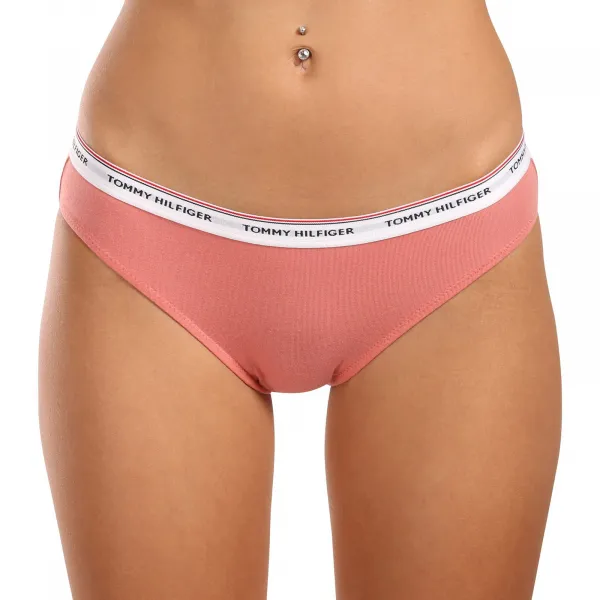 3PACK dámske nohavičky Tommy Hilfiger viacfarebné (UW0UW04895 0VG) S