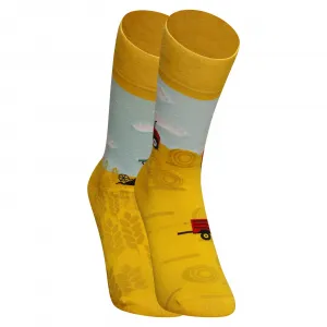 3PACK Veselé ponožky Dedoles (RS168243254) S