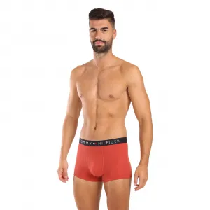 3PACK pánske boxerky Tommy Hilfiger viacfarebné (UM0UM03180 0RW) S, trenky