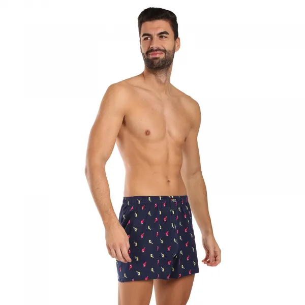 Pánske trenky Gino viacfarebné (75199-DCMDFR) M, trenírky