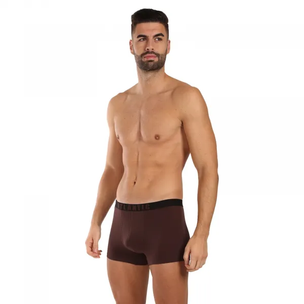 3PACK pánske boxerky Atlantic viacfarebné (3MH-011/02) M, trenky