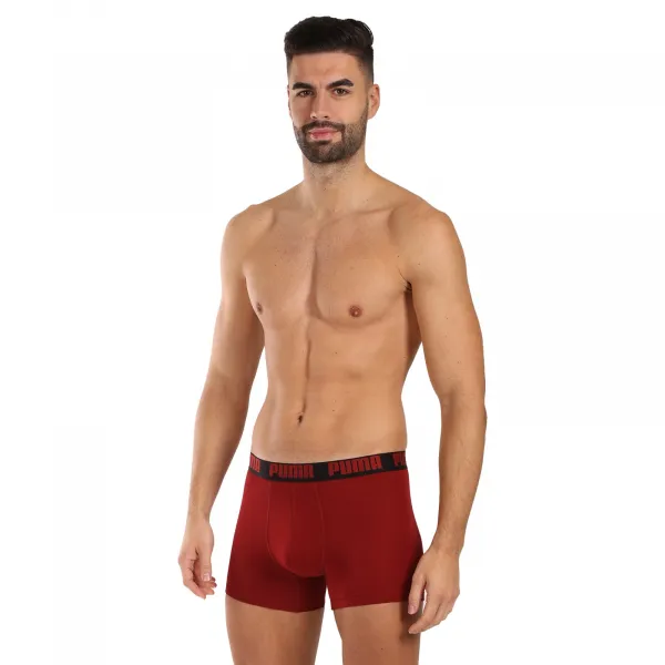 2PACK pánske boxerky Puma viacfarebné (701226387 027) M, trenky