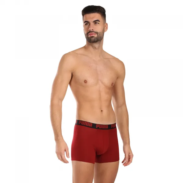 2PACK pánske boxerky Puma viacfarebné (701226387 027) M, trenky