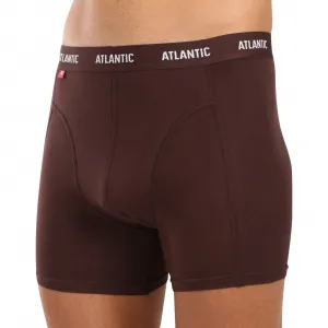 3PACK pánske boxerky Atlantic viacfarebné (3MH-047) L, trenky