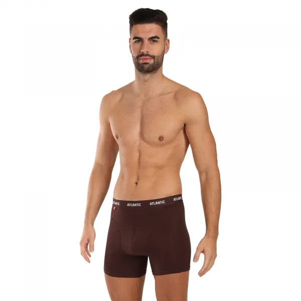 3PACK pánske boxerky Atlantic viacfarebné (3MH-047) L, trenky