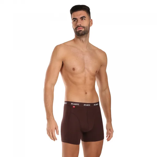 3PACK pánske boxerky Atlantic viacfarebné (3MH-047) L, trenky