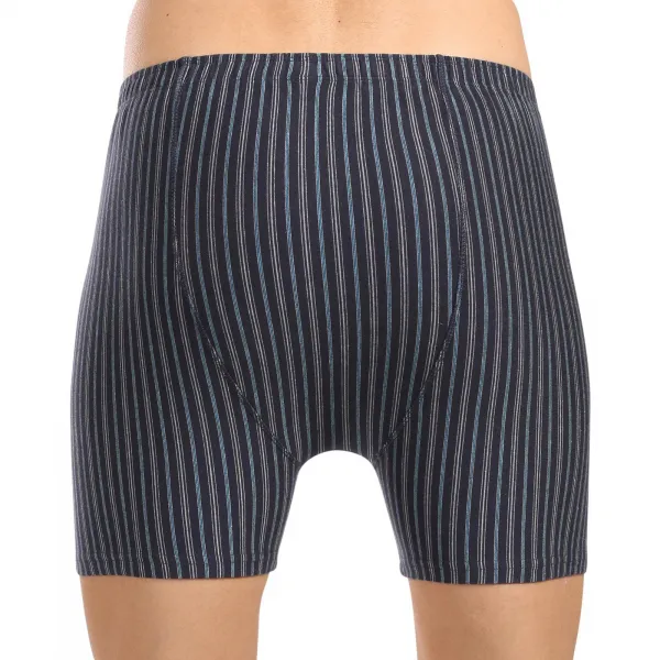 Pánske boxerky Gino viacfarebné (74169-DCMDxA) M, trenky