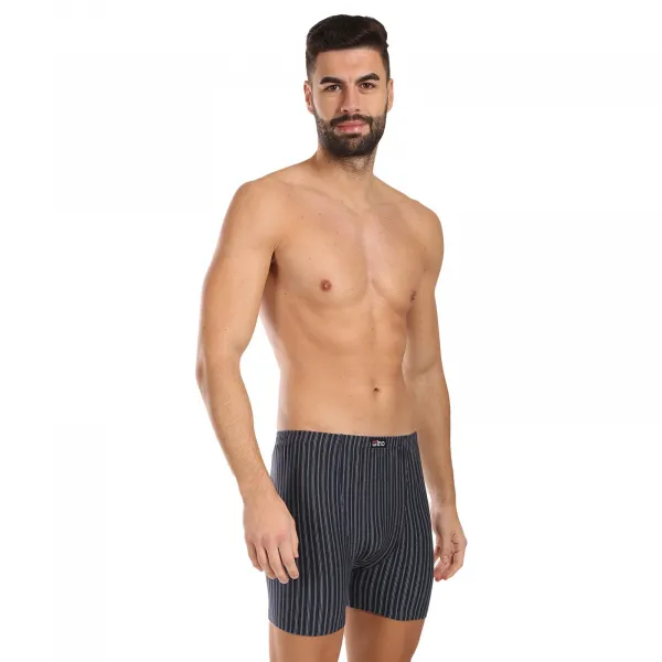 Pánske boxerky Gino viacfarebné (74169-DCMDxA) M, trenky