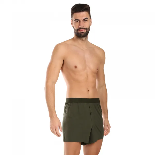 Pánske trenky Gino bambusové zelené (75195-DCZ) M, trenírky