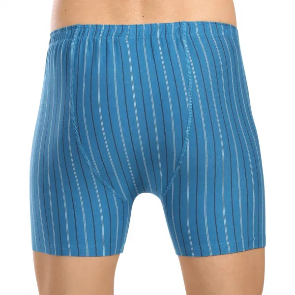 Pánske boxerky Gino zelené (74167) M, trenky