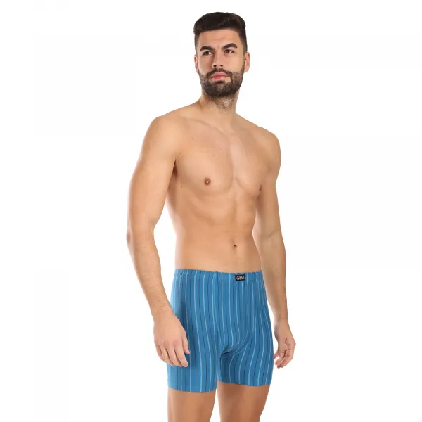 Pánske boxerky Gino zelené (74167) M, trenky