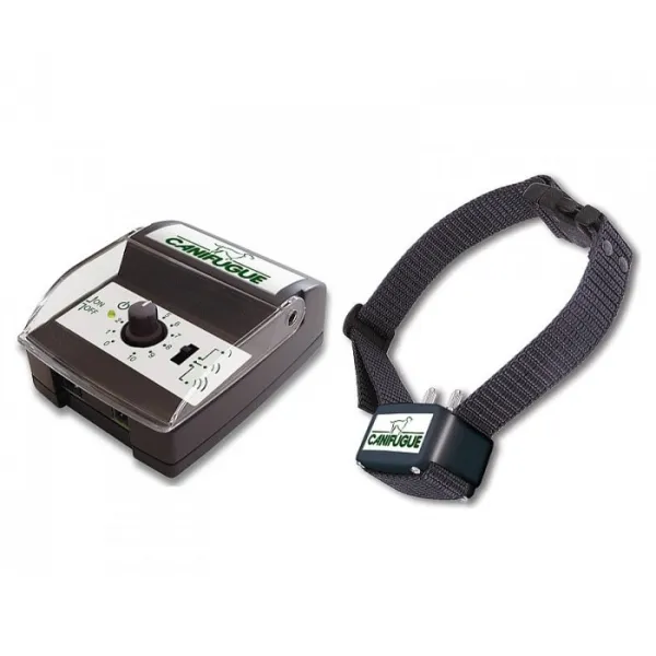 Num´axes Canifugue - pro 2 psy