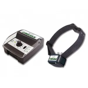 Num´axes Canifugue - pro 2 psy