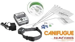 Num´axes Canifugue - pro 2 psy