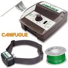 Num´axes Canifugue - pro 2 psy