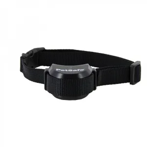 PetSafe® Stay + Play