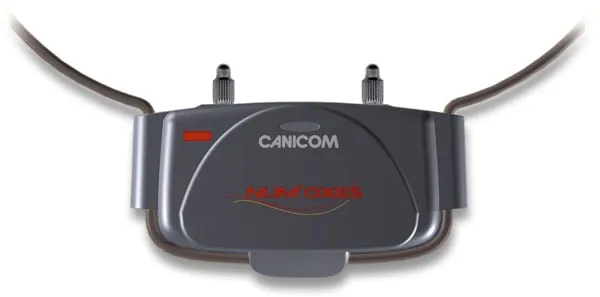 Canicom 200 First