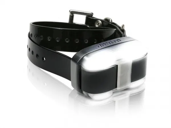 Dogtra 4504 EDGE