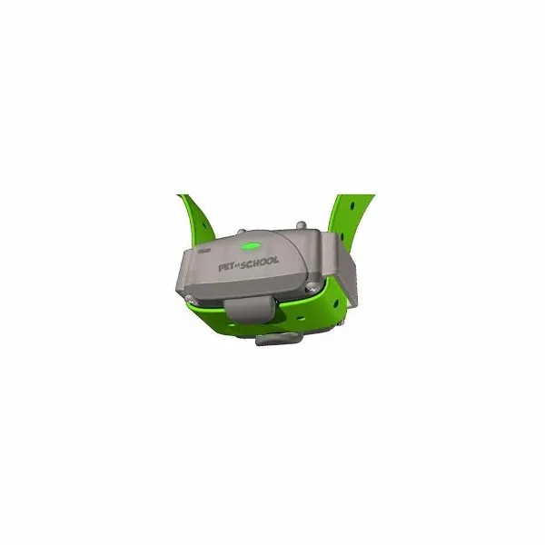 Pet at School Pulse
