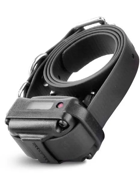 E-Collar Easy Educator EZ-900
