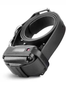 E-Collar Easy Educator EZ-900