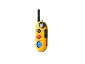 E-Collar Easy Educator EZ-900