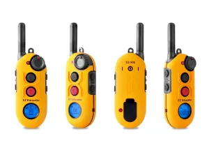 E-Collar Easy Educator EZ-900