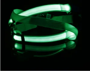 Reedog svietiaci postroj pre psov a mačky