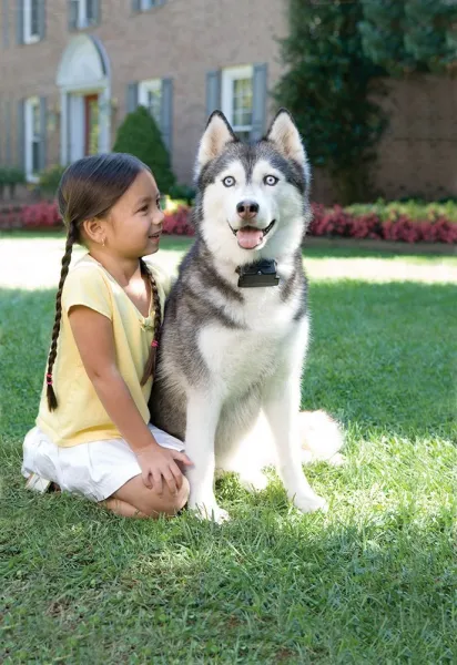 PetSafe pre veľkých psov